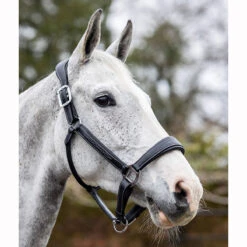 LeMieux Stitched Anatomical Leather Halter -Ovation Store it00882 c1105 alt3