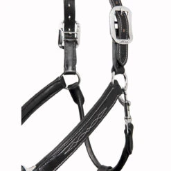 LeMieux Stitched Anatomical Leather Halter -Ovation Store it00882 c1105 alt4