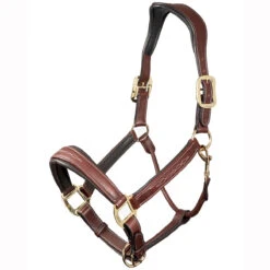 LeMieux Stitched Anatomical Leather Halter -Ovation Store it00882 c1109 alt1