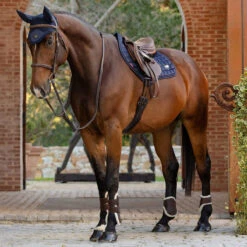 LeMieux Loire Satin Close Contact Pad -Ovation Store it01213005 c1146 alt1