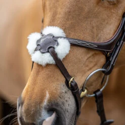LeMieux Grackle Figure-8 Bridle -Ovation Store it02644 1109 alt2
