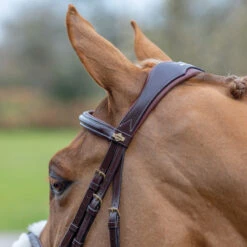 LeMieux Grackle Figure-8 Bridle -Ovation Store it02644 1109 alt3