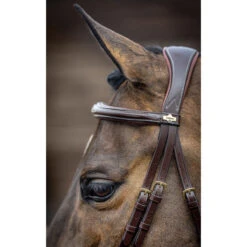 LeMieux Competition Flash Bridle -Ovation Store it02645 c1109 alt3