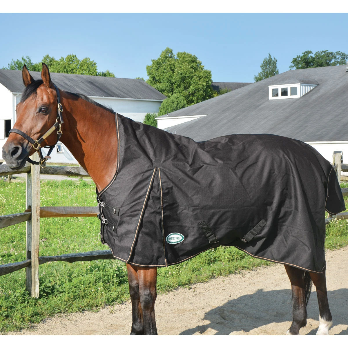 Country Pride Paladin High Neck Heavyweight Turnout Blanket 2 Country Pride Paladin High Neck Heavyweight Turnout Blanket - Image 2
