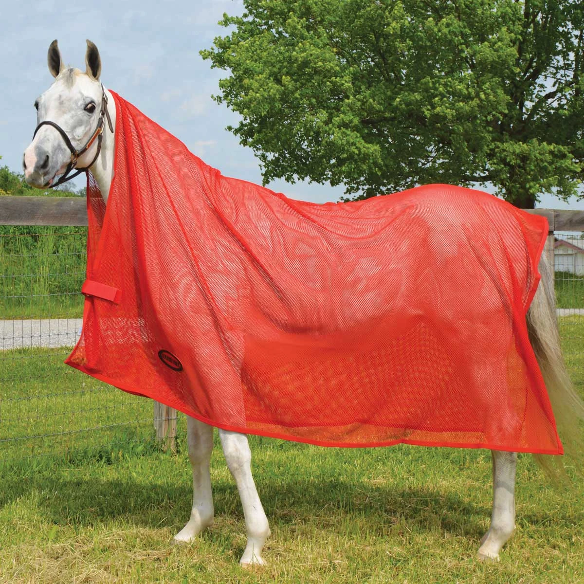 Country Pride Cooler Style Fly Scrim 2 Country Pride Cooler Style Fly Scrim - Image 2