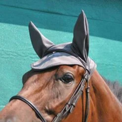 Fenwick Liquid Titanium Therapeutic Ear Cover 5 Fenwick Liquid Titanium Therapeutic Ear Cover -Ovation Store lt102 c1125