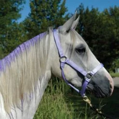 Tail Tamer Pony Paints 4 Oz -Ovation Store ppnts c1106 alt2