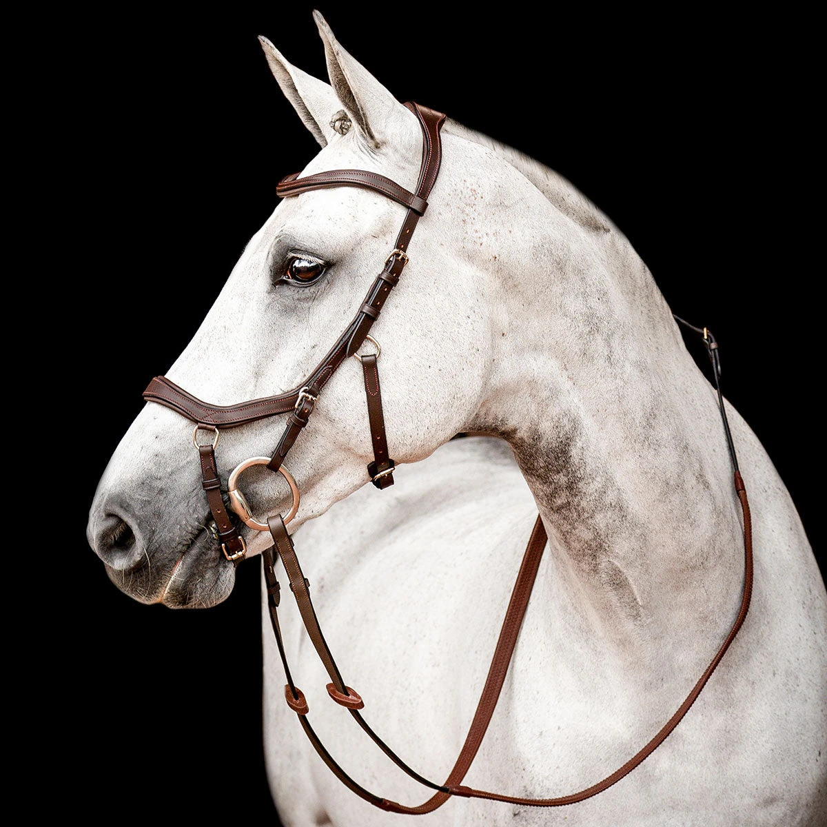 Horseware Ireland Micklem 2 Competition Bridle 1 Horseware Ireland Micklem 2 Competition Bridle