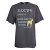 Horses Unlimited Definition Ladies Tee